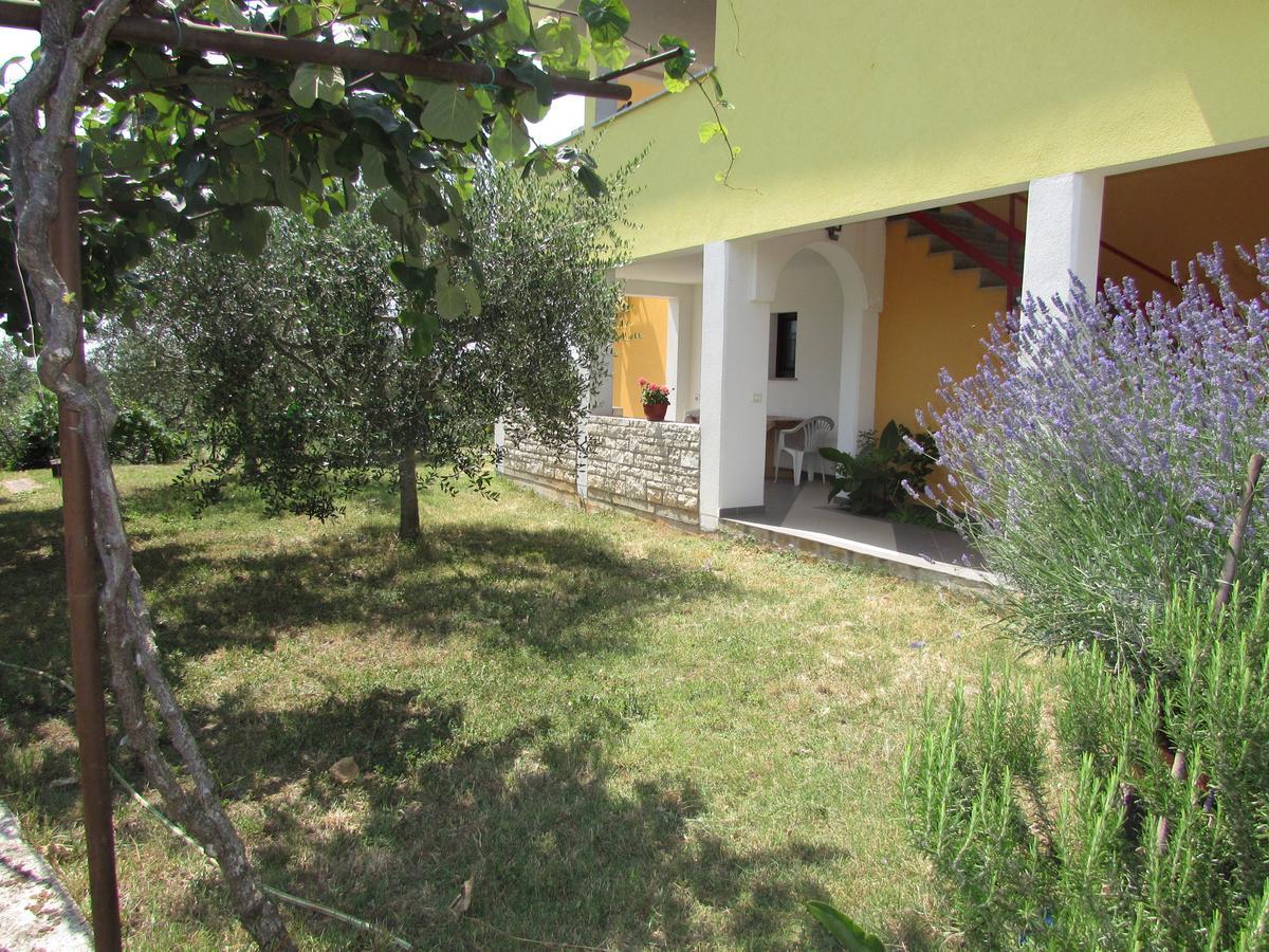 Apartments Goga Умаг Экстерьер фото